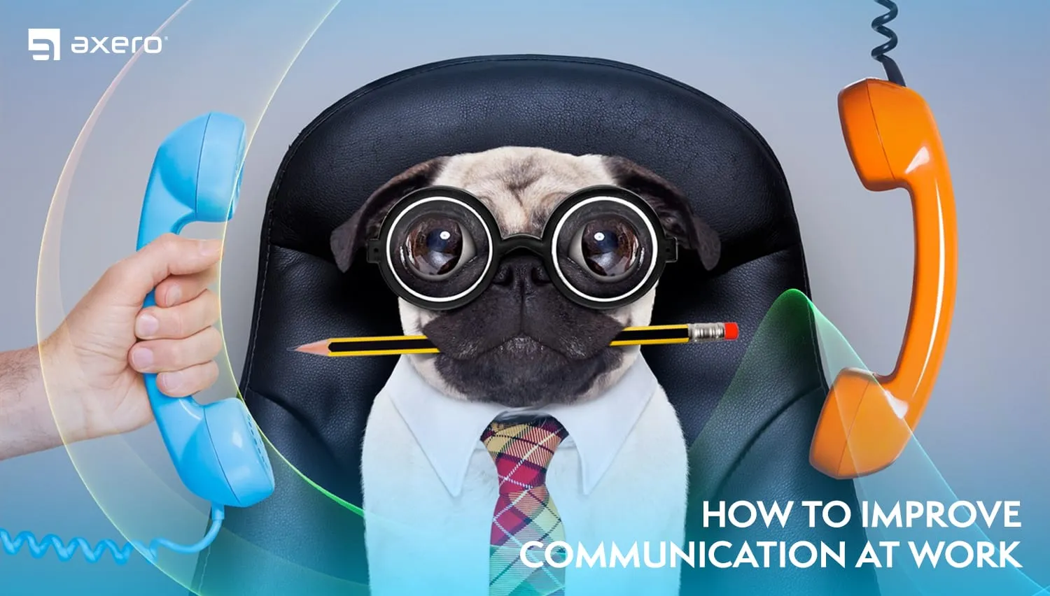 Creative promotional image featuring a pug in a suit and glasses, holding a pencil and sandwiched between two colorful telephone receivers, with text 'How to Improve Communication at Work'.