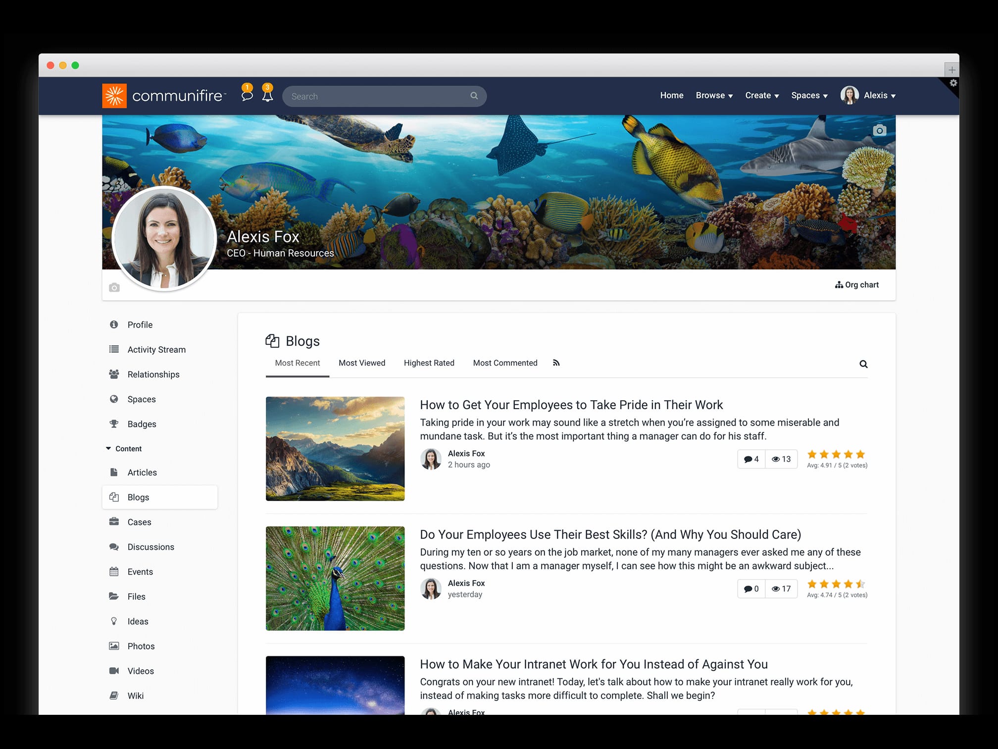 employee profile content