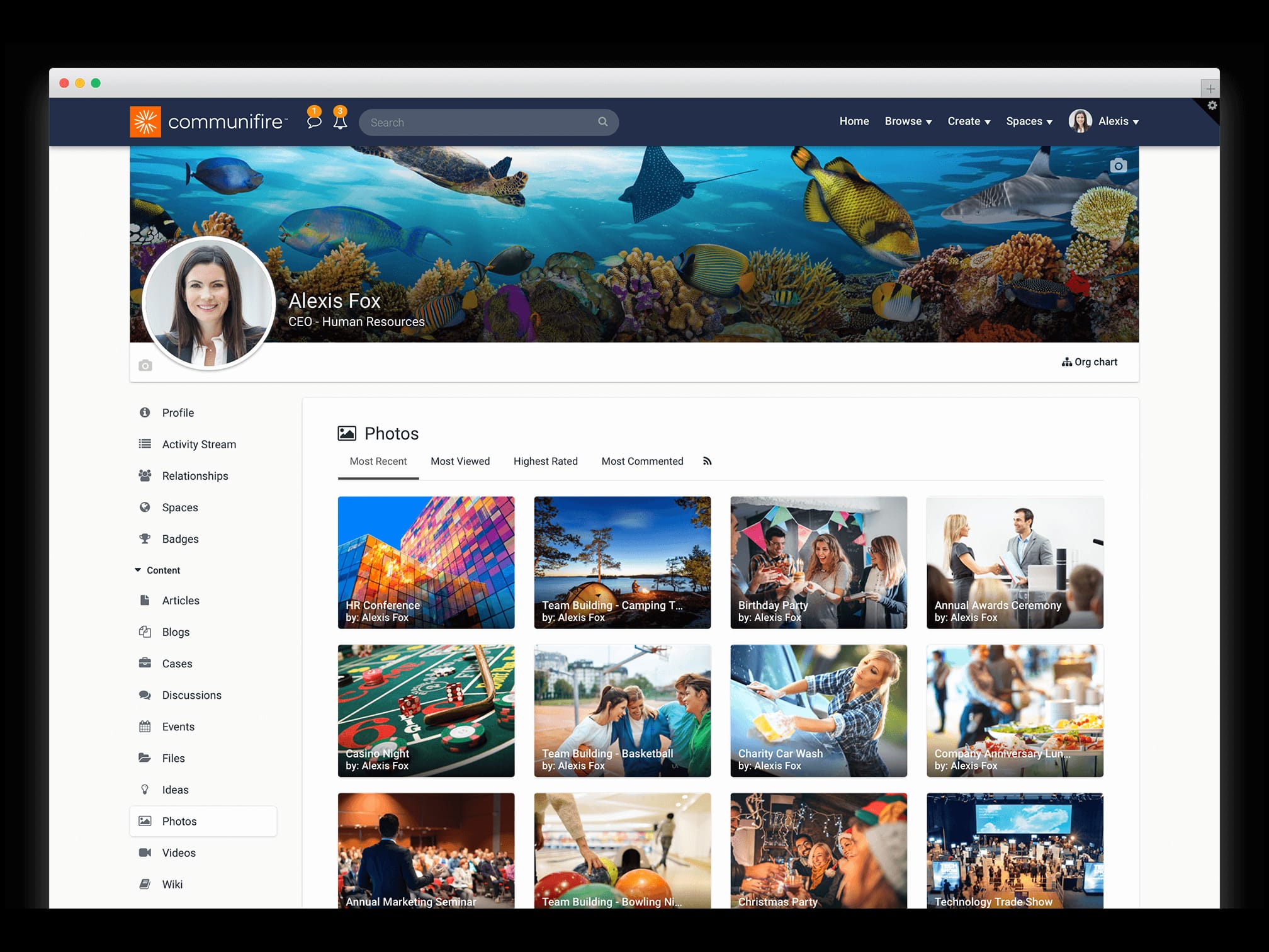 employee profile photos videos