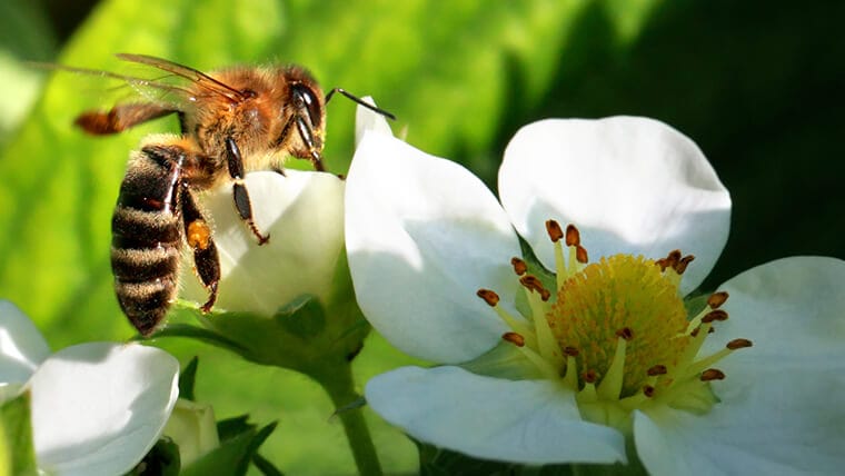 Commitment and Consistency at Work: How to Master Persuasion in Your Workplace