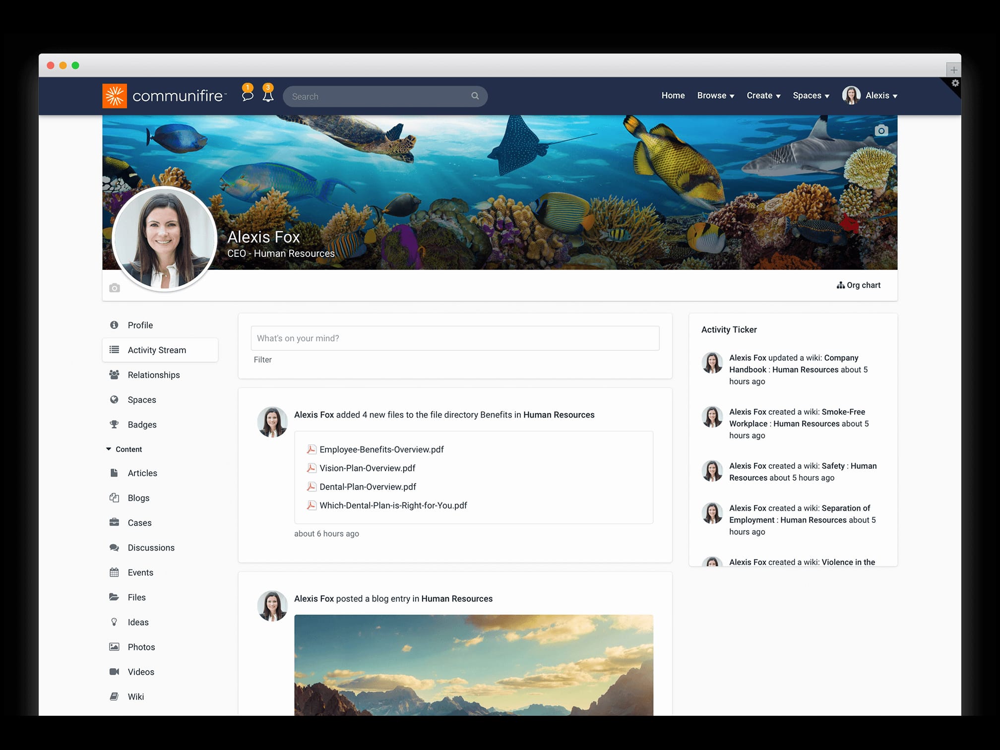 employee profile activity stream