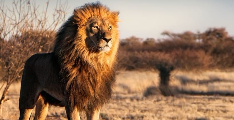 Authority Persuasion Workplace 